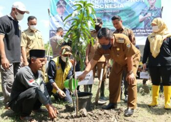 Peringati HMPI, Pemkot Cirebon dan Korem 063/SGJ Tanam Ribuan Pohon di TPA Kopiluhur